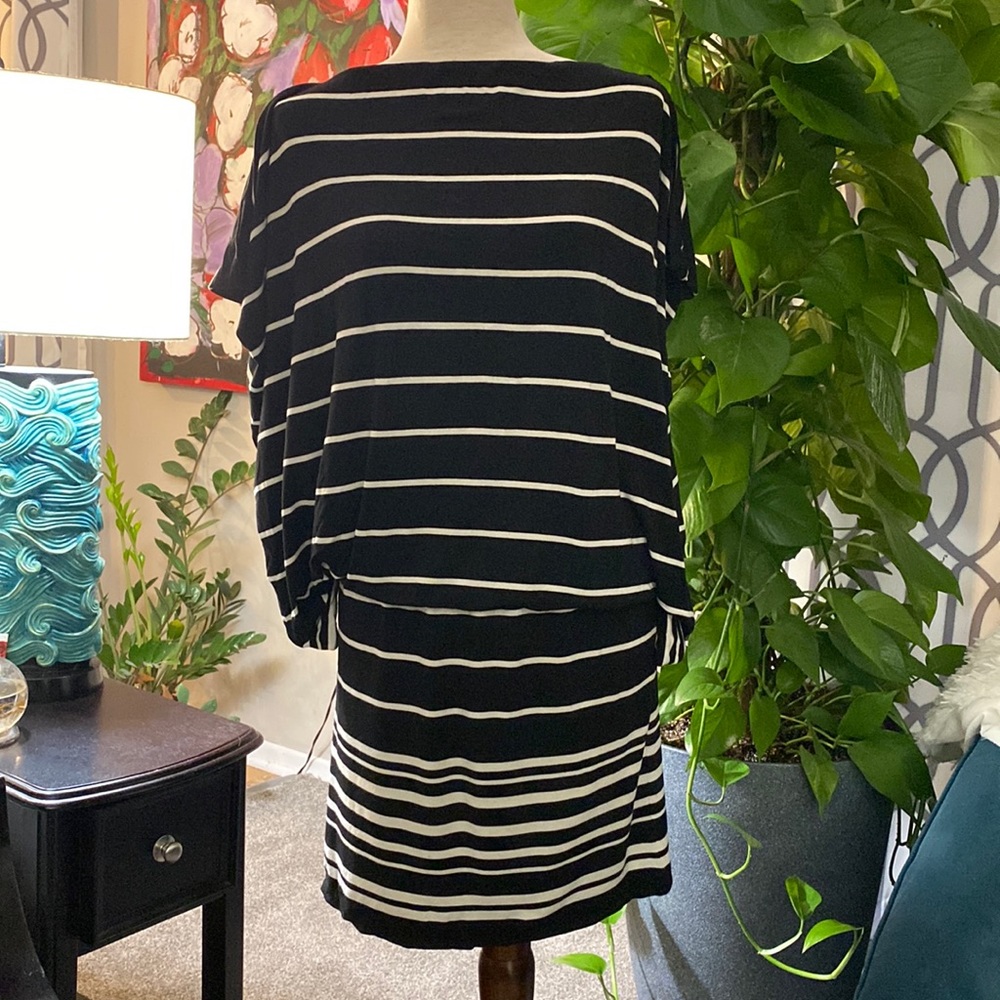 Max Studio Batwing Drop Waist Dress